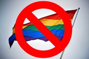 Французский мэр отказался регистрировать гей-брак